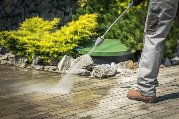 Best House Exterior Washing  in Elmont, NY