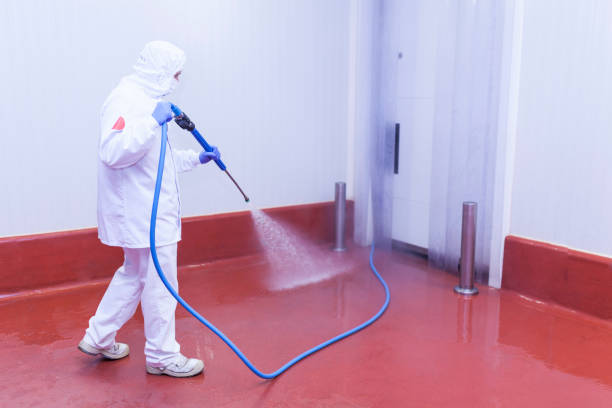Best Spring Cleaning  in Elmont, NY