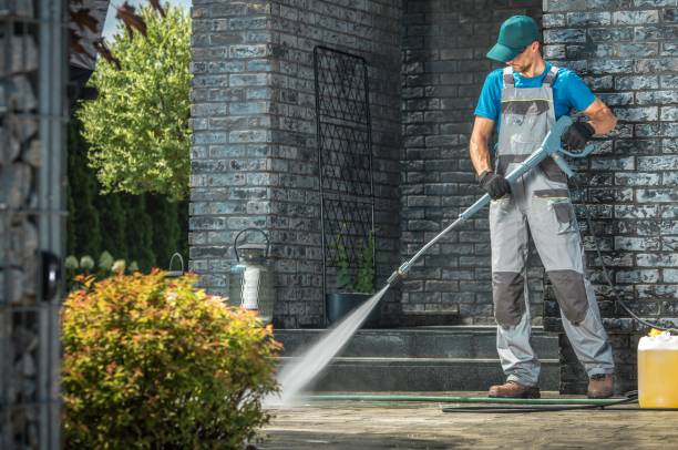Best Animal Enclosure Cleaning  in Elmont, NY