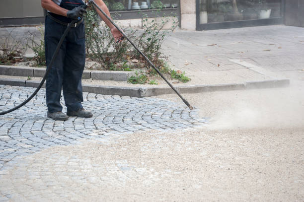 Best Gutter Cleaning  in Elmont, NY