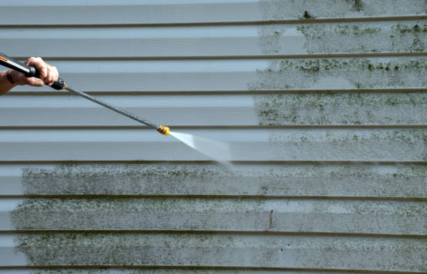 Best Fence Cleaning  in Elmont, NY