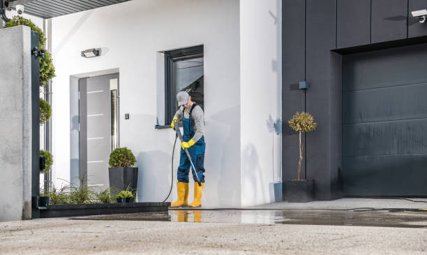 Best Building Exterior Washing  in Elmont, NY