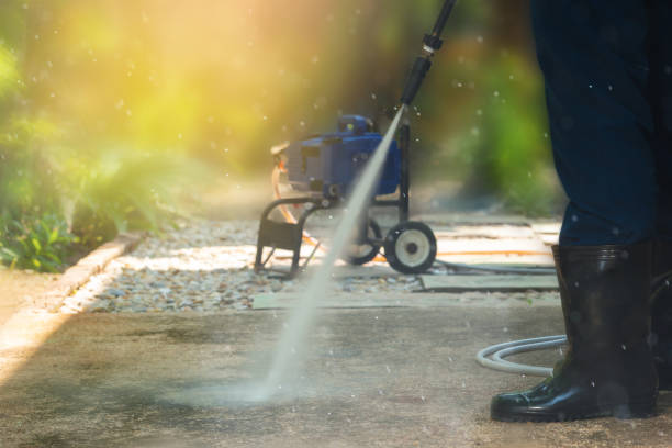 Best Sidewalk and Walkway Cleaning  in Elmont, NY